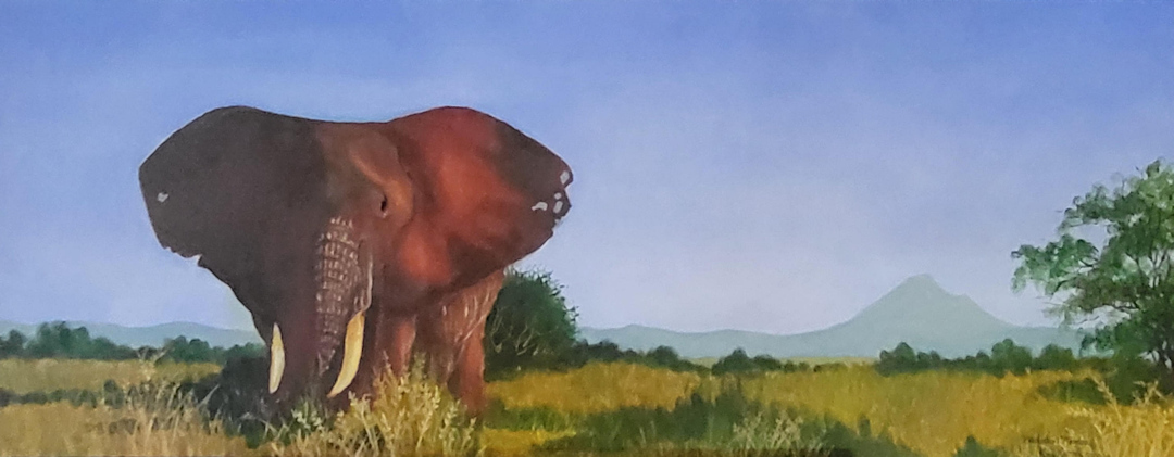 Old Tembo — Tarangire, Tanzania