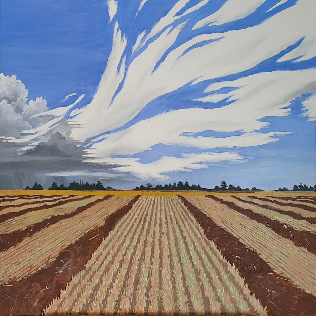 Canola Harvest — Saskatchewan — Karl Willms