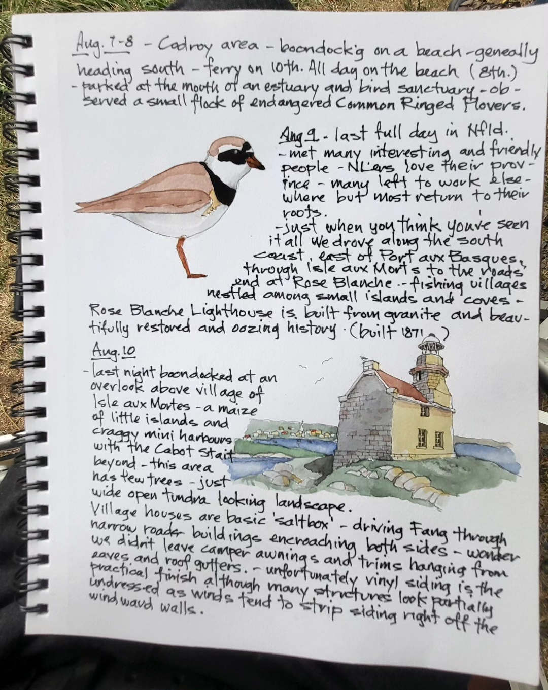 Common Ringed Plover, Rose Blanche Lighthouse — Newfoundland — Karl Willms