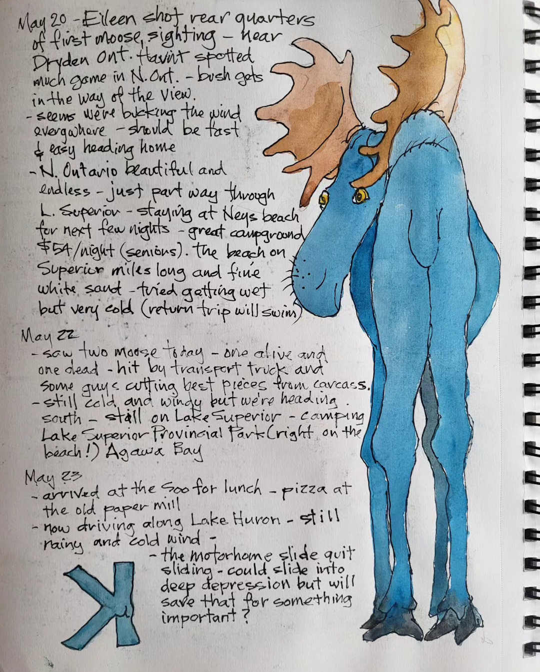 First Moose Sighting — Karl Willms