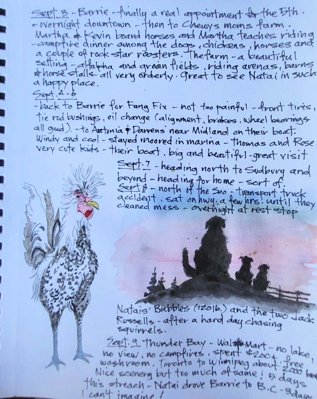 Rooster, Bubbles and two Jack Russells — Barrie, Ontario — Karl Willms