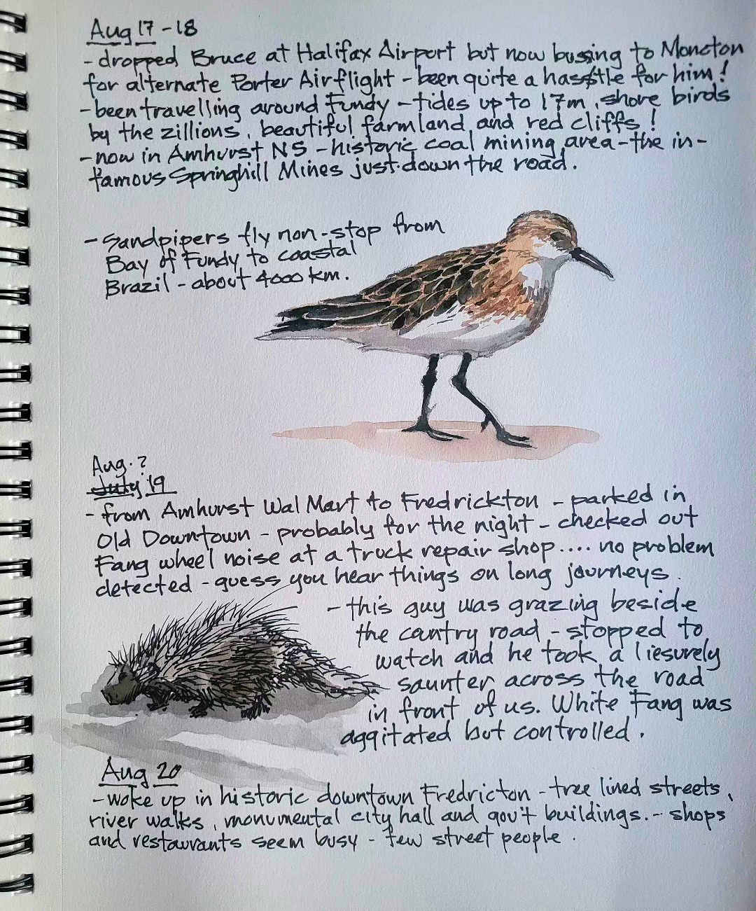 Sandpiper, Porcupine — NS, NB — Karl Willms