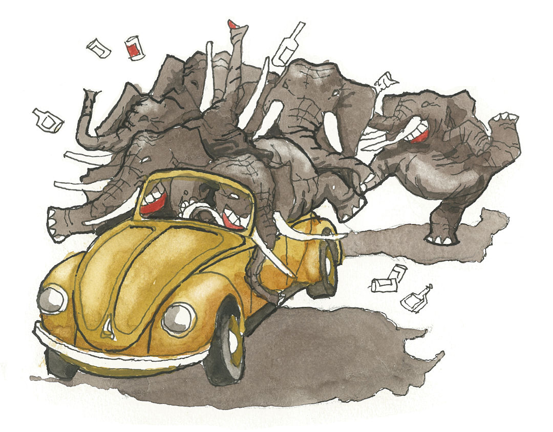 Elephants in a VW Bug — Karl Willms