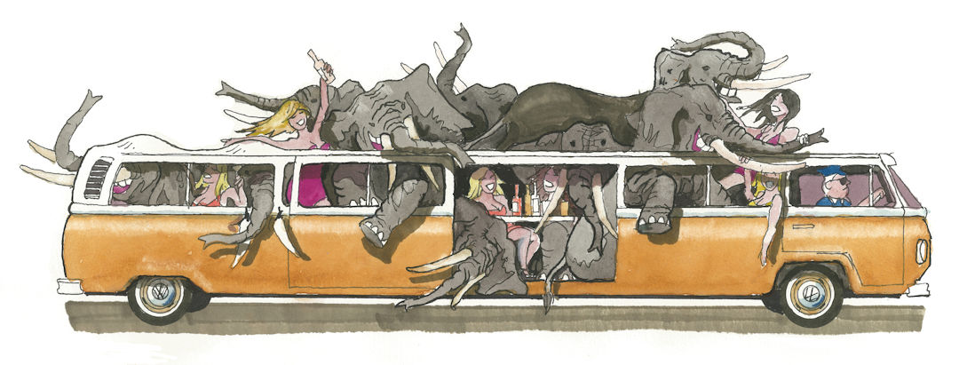 Party Animals in a VW Bus — Karl Willms