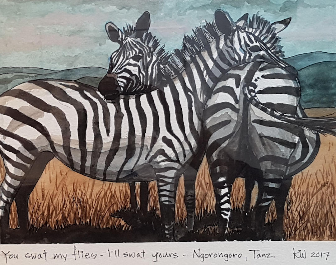 Zebras — Ngorongoro, Tanzania — Karl Willms