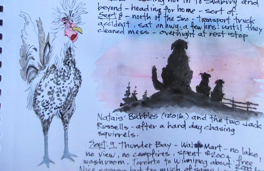 Rooster, Bubbles and two Jack Russells β Barrie, Ontario β Karl Willms Rooster, Bubbles and two Jack Russells β Barrie, Ontario β Karl Willms