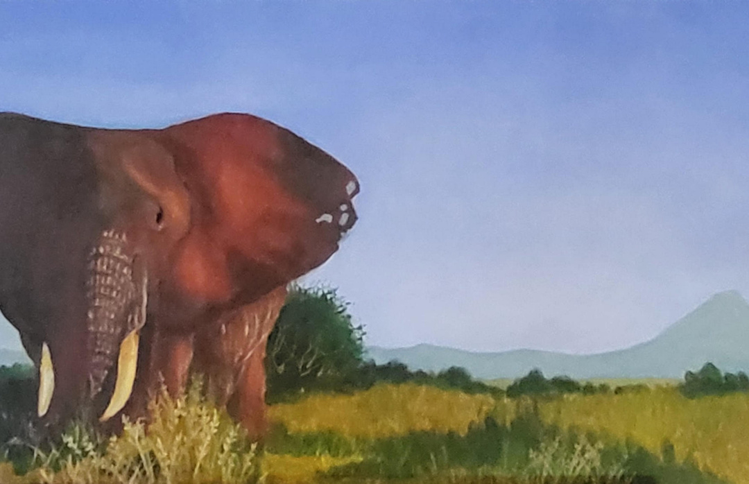 Old Tembo — Tarangire, Tanzania — Karl Willms